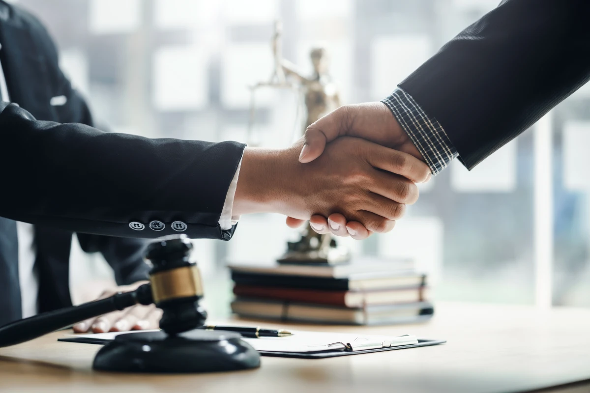 Le droit international, un acteur clé dans la protection de l'environnement